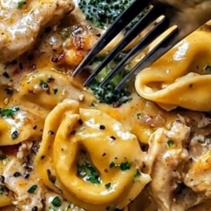 A shallow bowl of creamy cheese tortellini, golden chicken, and broccoli in a rich parmesan sauce.