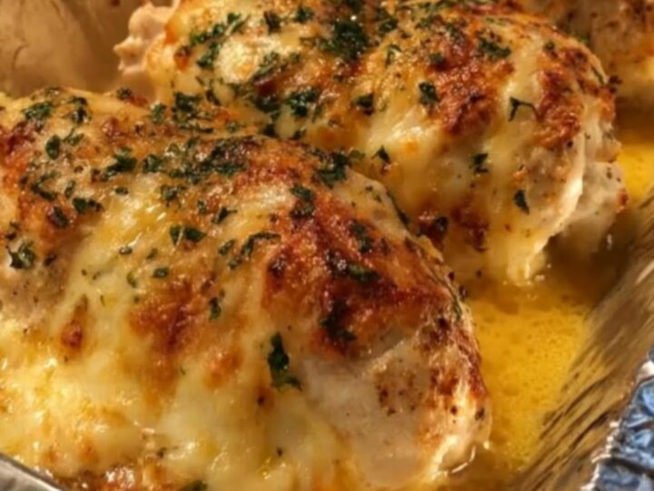 Four golden-baked stuffed chicken breasts in a foil pan topped with bubbling melted cheddar cheese.