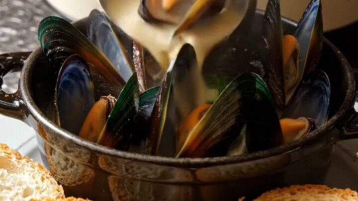 A ceramic slow cooker filled with steamed mussels in a creamy wine sauce with fennel and herbs.