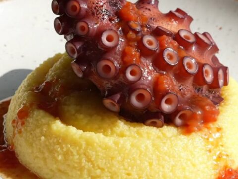 A close-up of tender, purple-crimson octopus tentacles served over creamy polenta with a rich tomato and olive sauce.