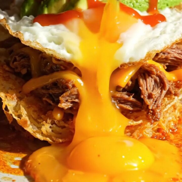 Crispy golden hashbrown taco shell folded around beef birria and melted cheddar