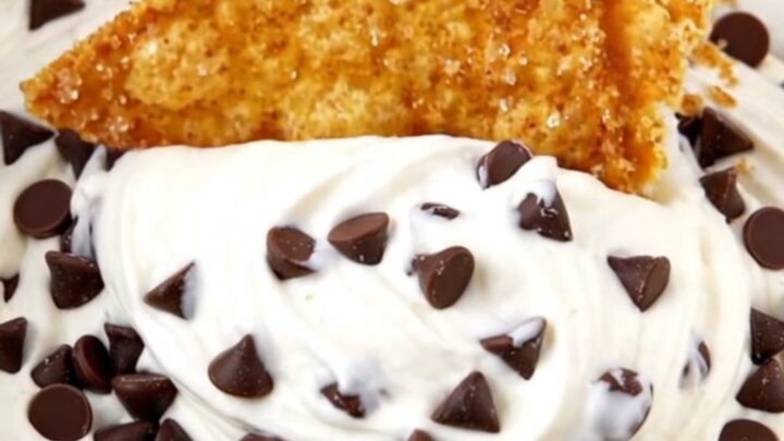 Golden air fryer cinnamon sugar tortilla chips fanned around a swirl of chocolate-chip cannoli dip in a shallow white bowl
