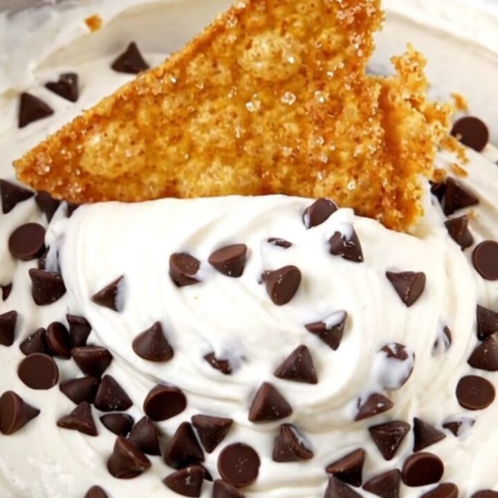 Golden air fryer cinnamon sugar tortilla chips fanned around a swirl of chocolate-chip cannoli dip in a shallow white bowl