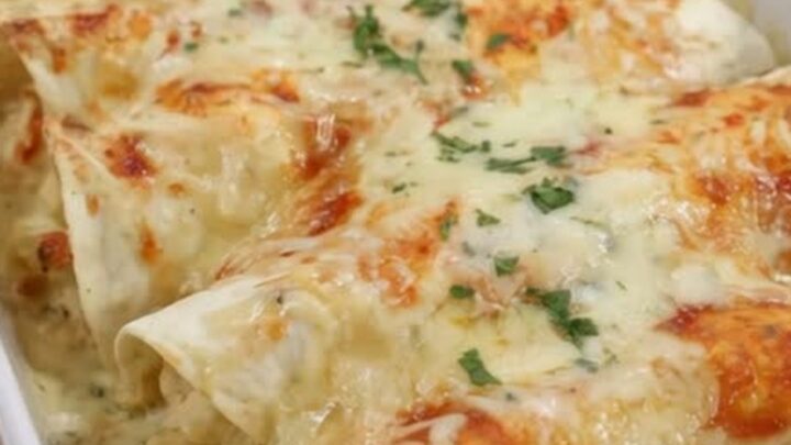White chicken creamy enchiladas in a white baking dish with a spatula lifting one enchilada in a long stretchy cheese pull