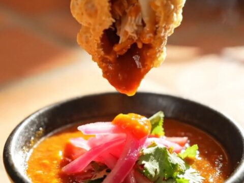 Golden blistered chicken birria empanada broken in half with molten Monterey Jack stretching and steam rising