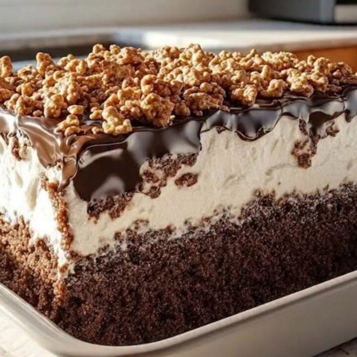 Gâteau Chat Paresseux en couches dans un plat blanc : biscuit au chocolat, crème fouettée, glaçage brillant et crumble doré