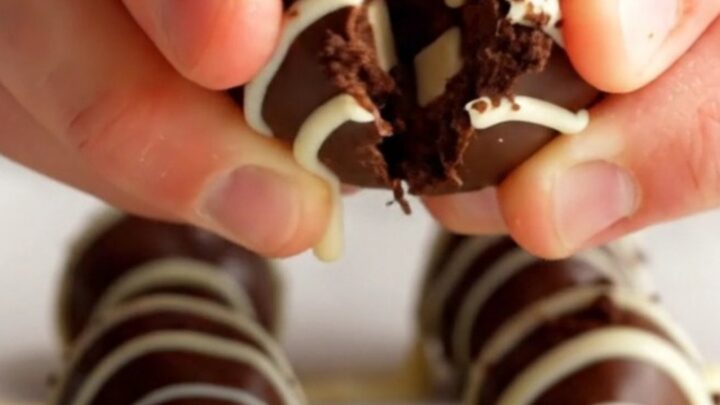A chocolate cookie truffle snapped in half, showing a chewy center with white chocolate chips and a crisp chocolate shell.