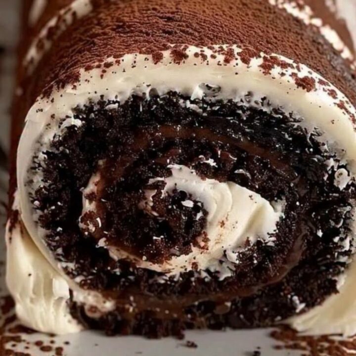 Roulé au chocolat au fudge et à la crème, saupoudré de cacao, sur un plat blanc