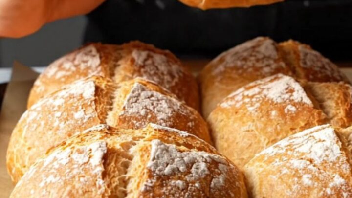 Fresh homemade crusty rolls with a deeply crackled, blistered crust, torn open to show a pillowy honeycomb crumb.