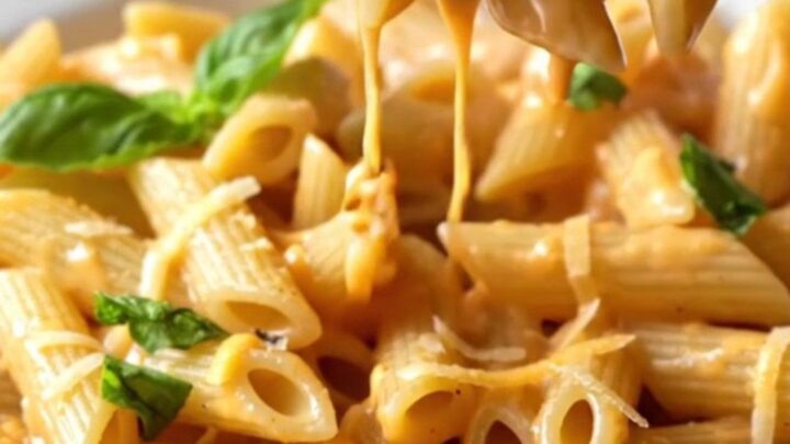 A fork lifting a creamy tomato penne pasta with melted cheese and fresh basil garnish