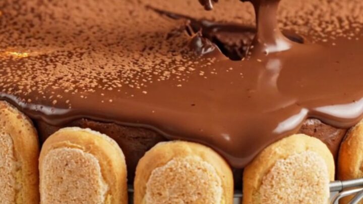 Velvety chocolate mousse cake dusted with cocoa powder, sliced to show creamy layers.