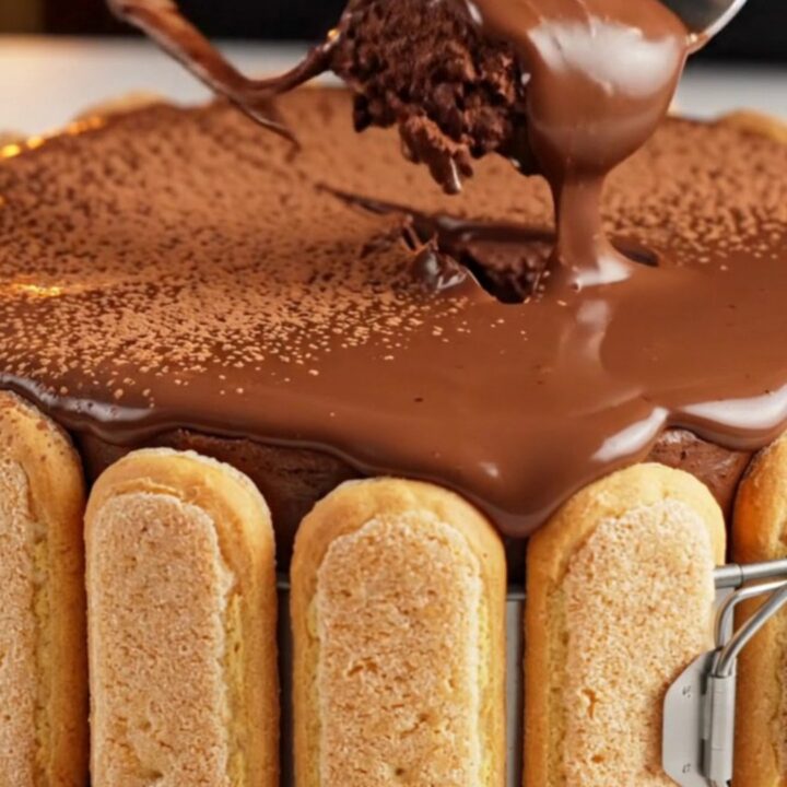 Velvety chocolate mousse cake dusted with cocoa powder, sliced to show creamy layers.
