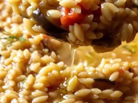 A spoonful of creamy eggplant tomato orzo pilaf with fresh dill and olive oil, in a skillet