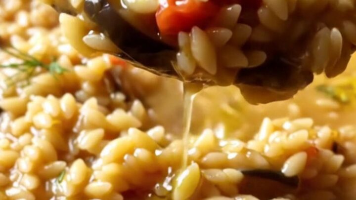 A spoonful of creamy eggplant tomato orzo pilaf with fresh dill and olive oil, in a skillet