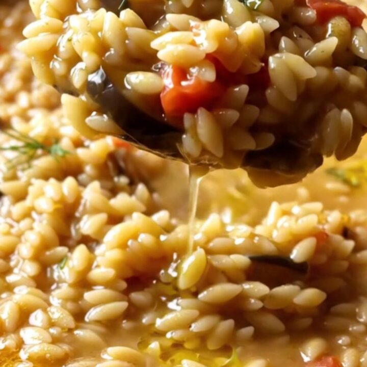 A spoonful of creamy eggplant tomato orzo pilaf with fresh dill and olive oil, in a skillet