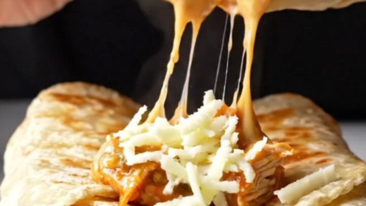 Crispy golden chicken Alfredo wraps sliced in half, showing creamy filling and melted cheese
