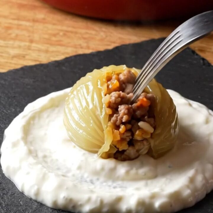 Golden stuffed onions on garlic yogurt with tomato sauce and dried mint
