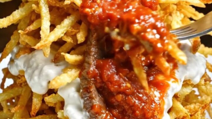 Turkish kebab with crispy matchstick potatoes, garlic yogurt, and seared beef strips topped with tomato butter