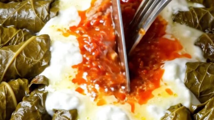 A pot of Turkish stuffed grape leaves with lemon butter sauce, drizzled with garlic yogurt and red pepper butter.
