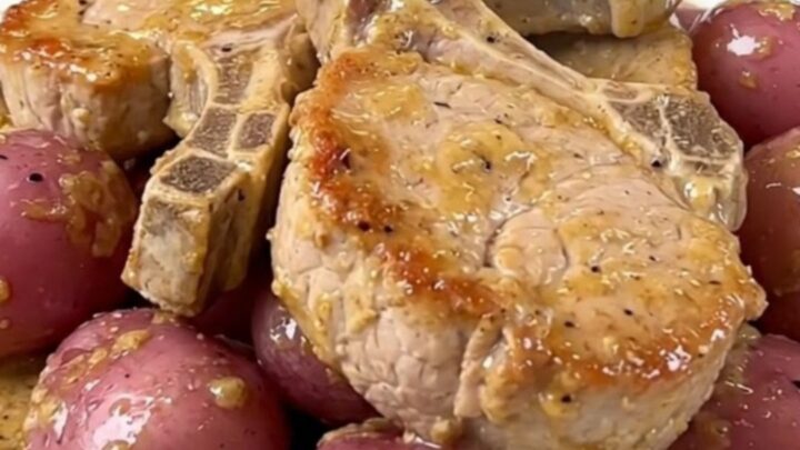 Tender pork chops and baby red potatoes in a creamy ranch sauce in a slow cooker
