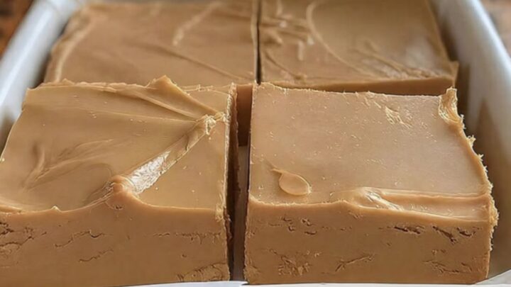 A white ceramic dish filled with thick, perfectly sliced squares of creamy peanut butter fudge near a sunlit window.