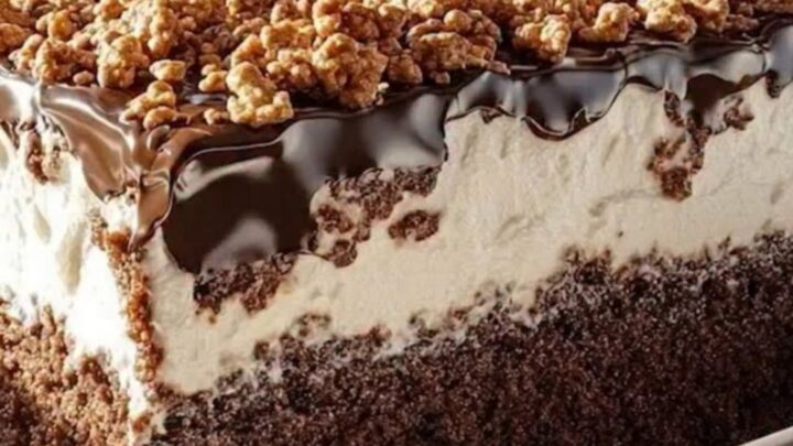A close-up of a layered lazy cat cake in a ceramic dish, showing sponge, cream, ganache, and crumble.
