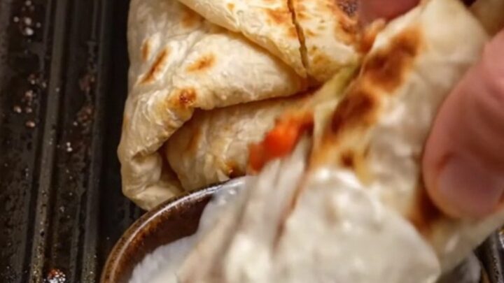 Sliced chicken shawarma wrap with crispy fries and pickles, dipped in garlic toum sauce