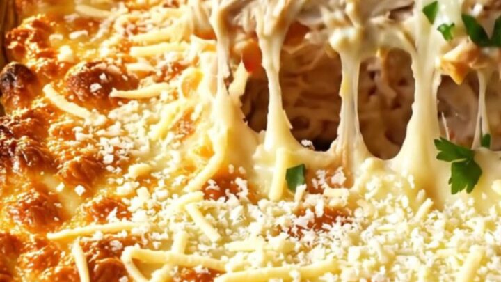 Golden cheese crust on a baked chicken and pepper casserole