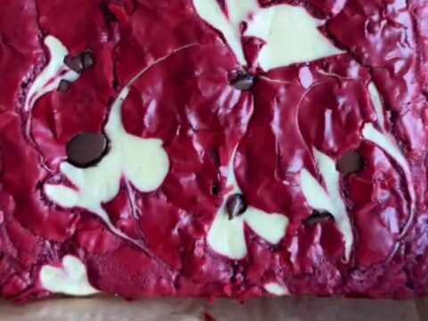 Ultra-fudgy red velvet cheesecake brownies with white cream cheese swirls and dark chocolate chips on top, cut into squares
