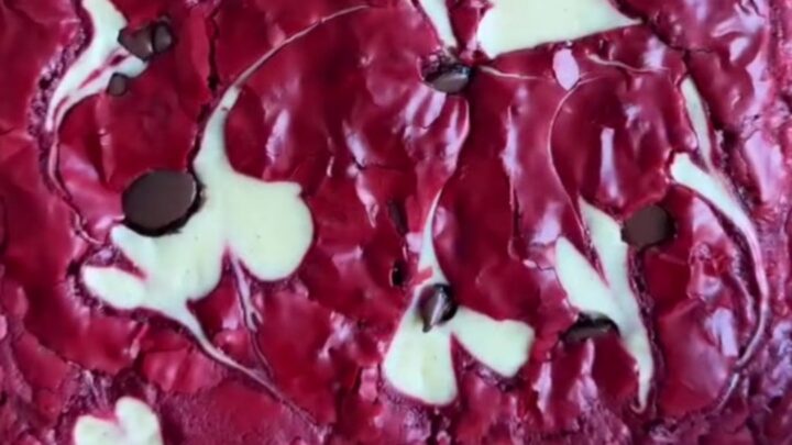 Ultra-fudgy red velvet cheesecake brownies with white cream cheese swirls and dark chocolate chips on top, cut into squares