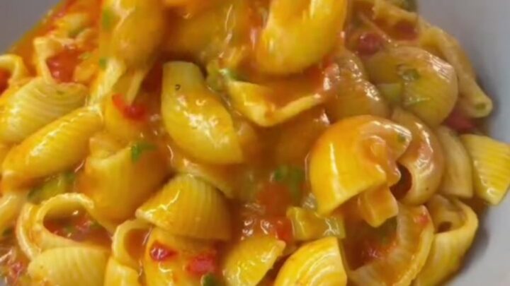 Shell pasta in a creamy roasted tomato and red pepper sauce with melted mozzarella, garnished with parsley.