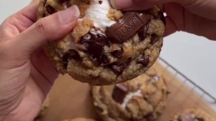 Warm s'mores stuffed chocolate chip cookie skillet with melted marshmallow and chocolate