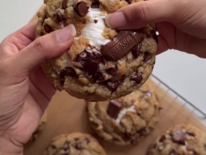 Warm s'mores stuffed chocolate chip cookie skillet with melted marshmallow and chocolate