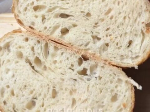 A rustic sourdough loaf with a deep mahogany crust and a crackling, blistered surface, sliced to reveal an open