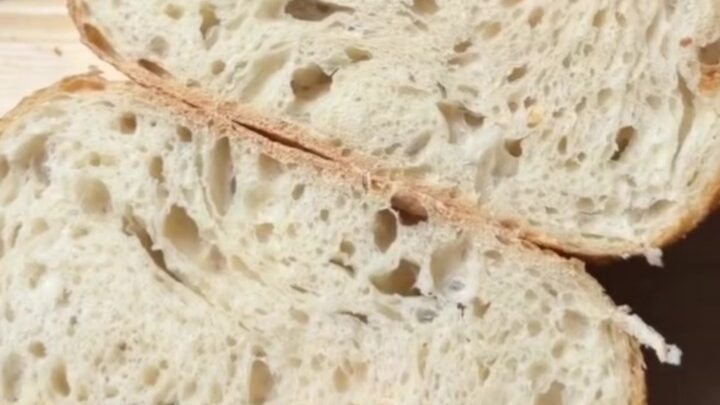A rustic sourdough loaf with a deep mahogany crust and a crackling, blistered surface, sliced to reveal an open