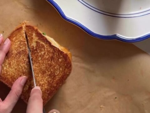 Crispy golden sandwich sliced diagonally, showing creamy chicken filling with melted cheese and vegetables
