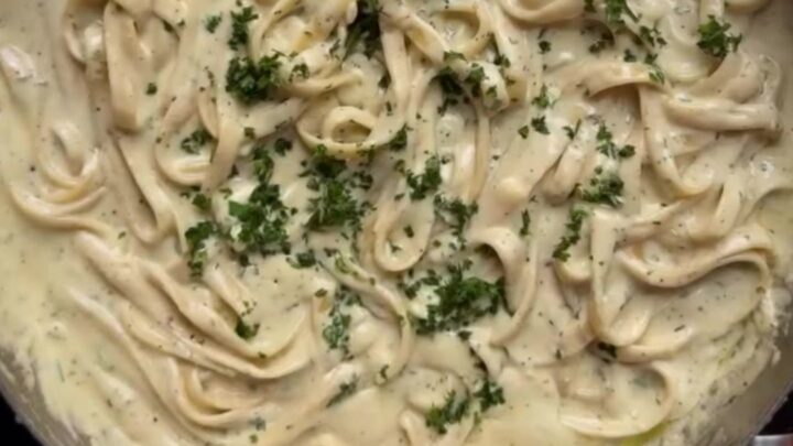 Fettuccine twirled on a fork, coated in a glossy garlic parmesan sauce