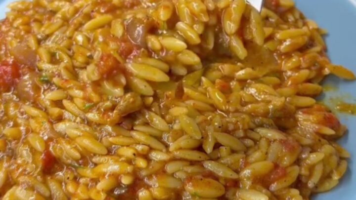 A spoonful of creamy eggplant tomato orzo pilaf with fresh dill and olive oil drizzle