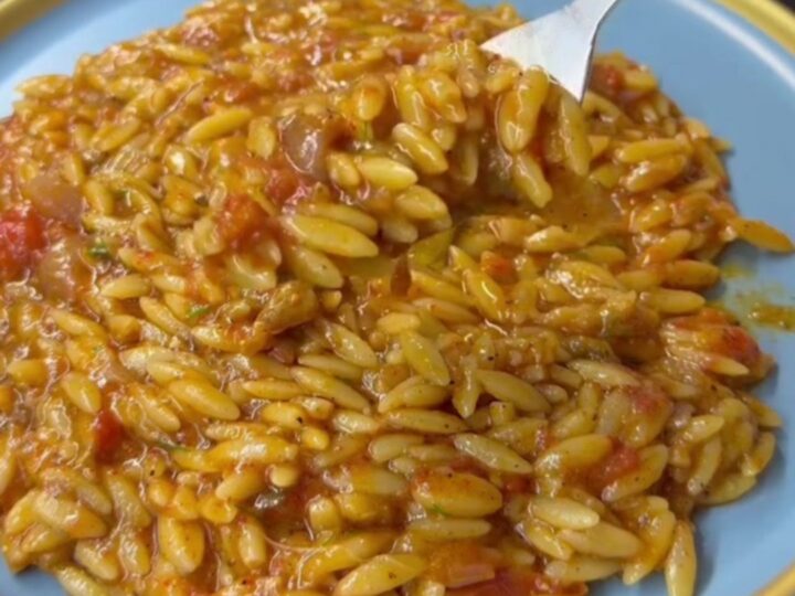 A spoonful of creamy eggplant tomato orzo pilaf with fresh dill and olive oil drizzle