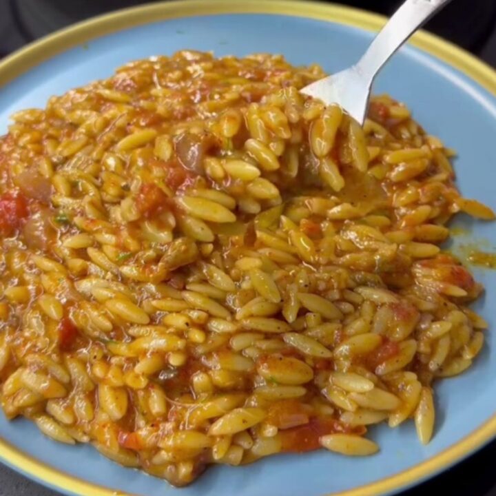 A spoonful of creamy eggplant tomato orzo pilaf with fresh dill and olive oil drizzle