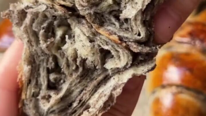 Golden spiral çörek buns with dark poppy seed filling, pulled apart to show flaky layers