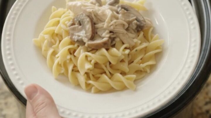 Creamy Parmesan mushroom chicken in a slow cooker with a spoon lifting a bite.