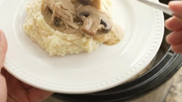 Creamy Swiss mushroom chicken in a slow cooker, topped with melted cheese and mushrooms.