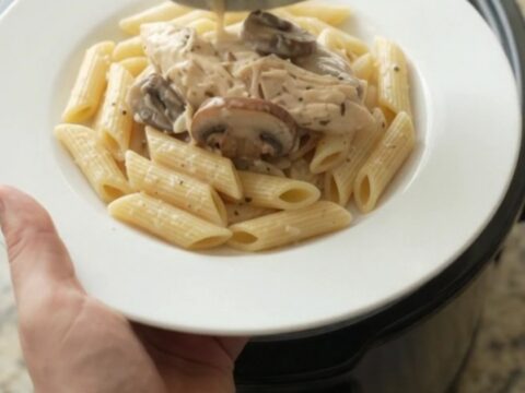 Creamy mozzarella mushroom chicken in a slow cooker, with shredded chicken and mushrooms in a rich sauce.