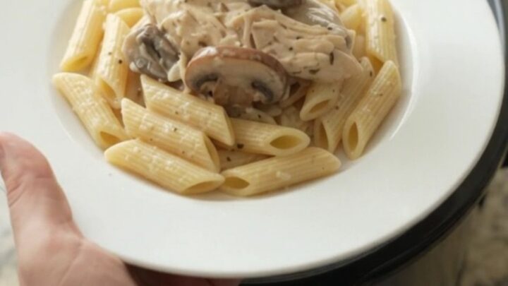 Creamy mozzarella mushroom chicken in a slow cooker, with shredded chicken and mushrooms in a rich sauce.