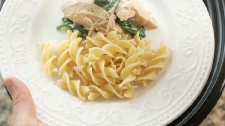 A creamy slow cooker chicken with spinach and artichokes, served over buttered egg noodles