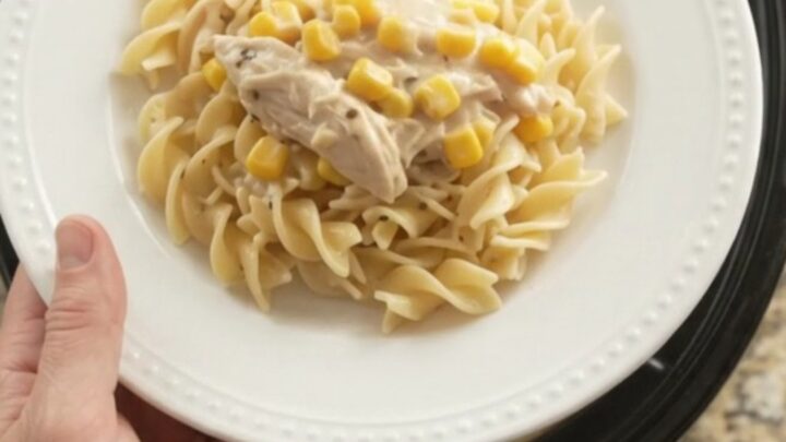 Creamy Crockpot chicken and sweet corn with Parmesan sauce in a slow cooker