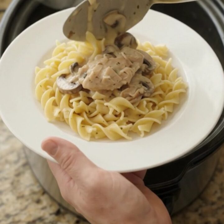 Creamy Parmesan mushroom chicken thighs in a slow cooker, with a velvety white gravy and mushrooms.