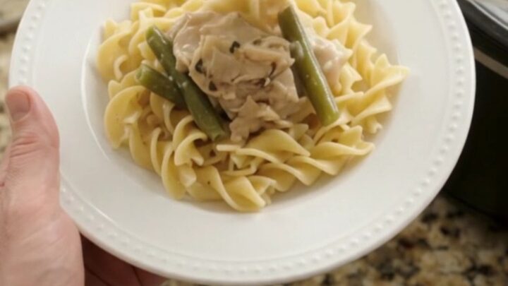 Slow cooker chicken thighs and green beans in a creamy Parmesan sauce