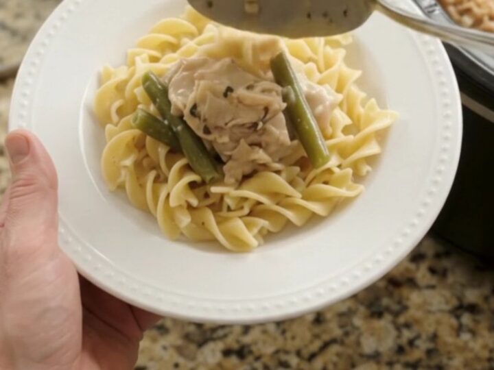 Slow cooker chicken thighs and green beans in a creamy Parmesan sauce